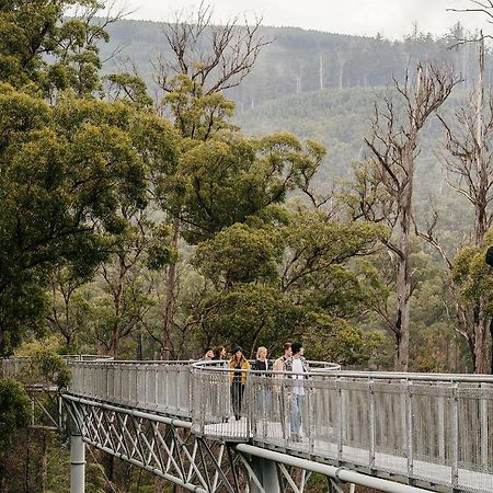Tahune Airwalk Cabin And Lodge Geeveston ภายนอก รูปภาพ