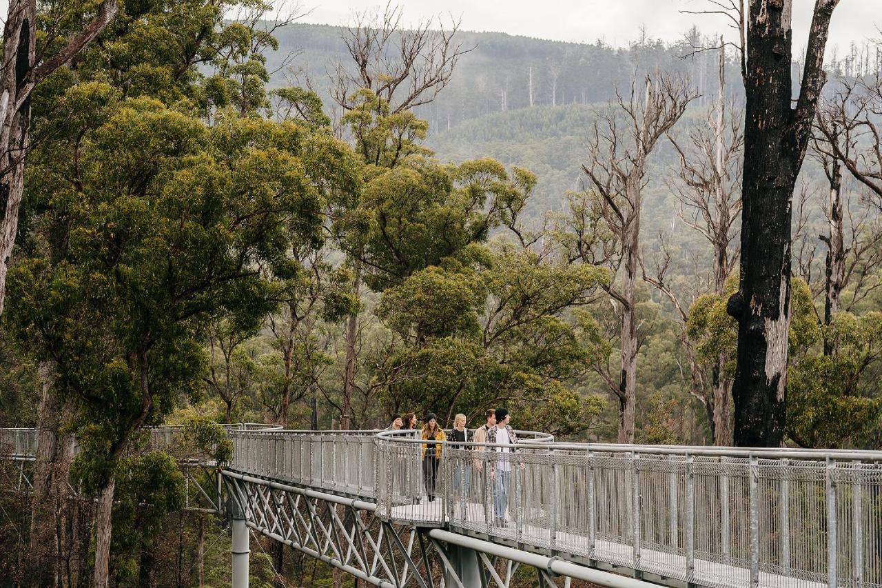 Tahune Airwalk Cabin And Lodge Geeveston ภายนอก รูปภาพ