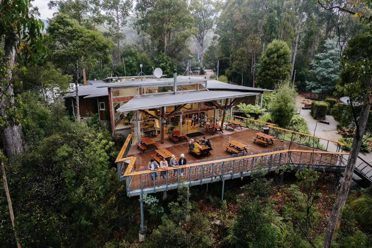 Tahune Airwalk Cabin And Lodge Geeveston ภายนอก รูปภาพ