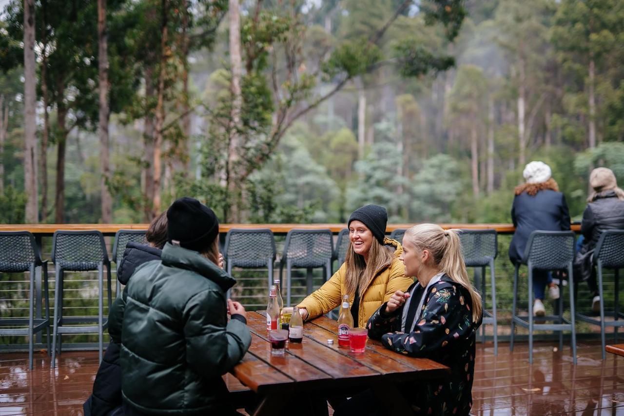 Tahune Airwalk Cabin And Lodge Geeveston ภายนอก รูปภาพ