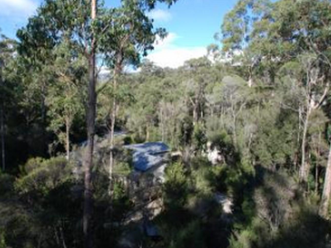 Tahune Airwalk Cabin And Lodge Geeveston ภายนอก รูปภาพ