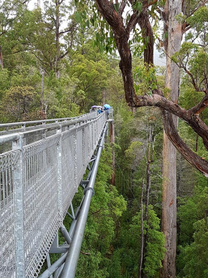 Tahune Airwalk Cabin And Lodge Geeveston ภายนอก รูปภาพ