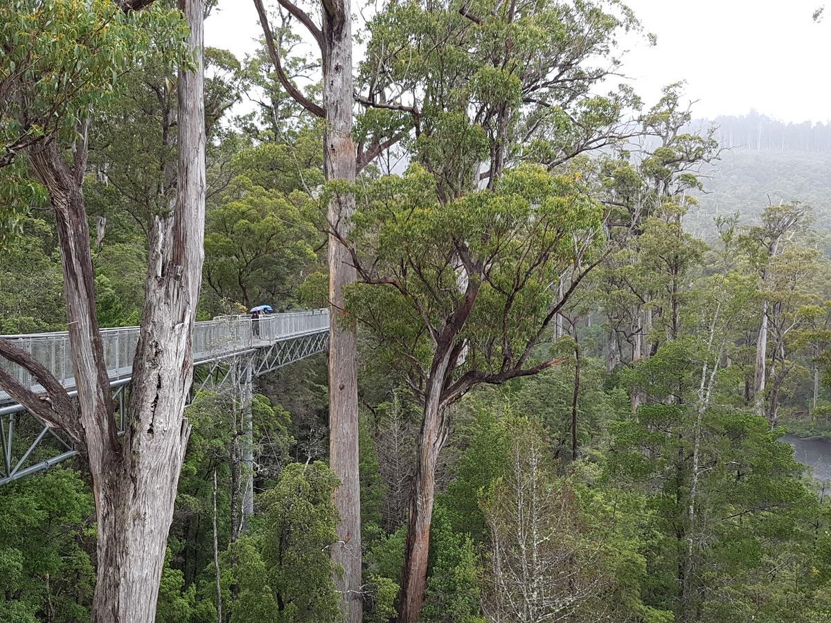 Tahune Airwalk Cabin And Lodge Geeveston ภายนอก รูปภาพ