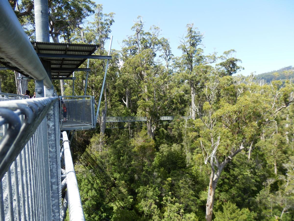 Tahune Airwalk Cabin And Lodge Geeveston ภายนอก รูปภาพ