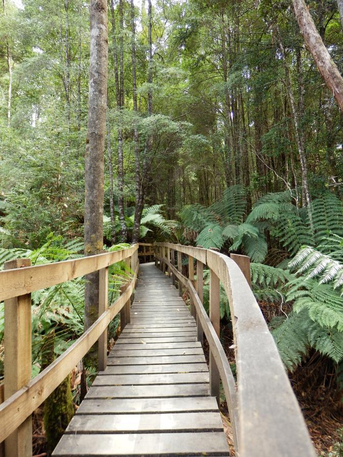Tahune Airwalk Cabin And Lodge Geeveston ภายนอก รูปภาพ