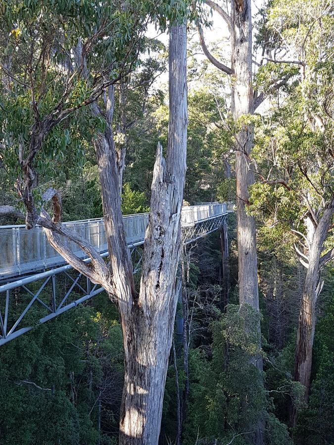 Tahune Airwalk Cabin And Lodge Geeveston ภายนอก รูปภาพ