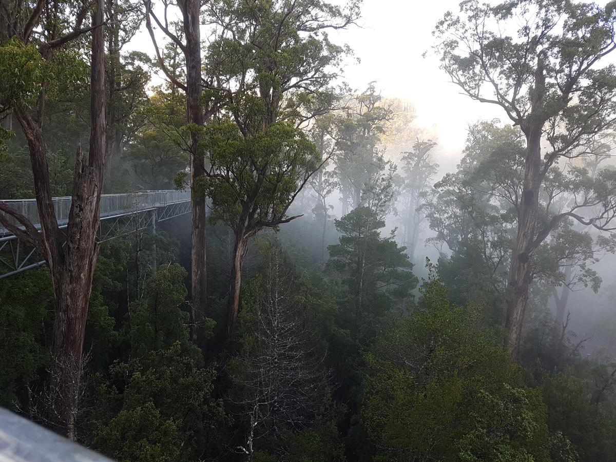 Tahune Airwalk Cabin And Lodge Geeveston ภายนอก รูปภาพ