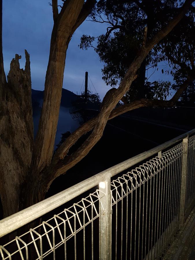 Tahune Airwalk Cabin And Lodge Geeveston ภายนอก รูปภาพ