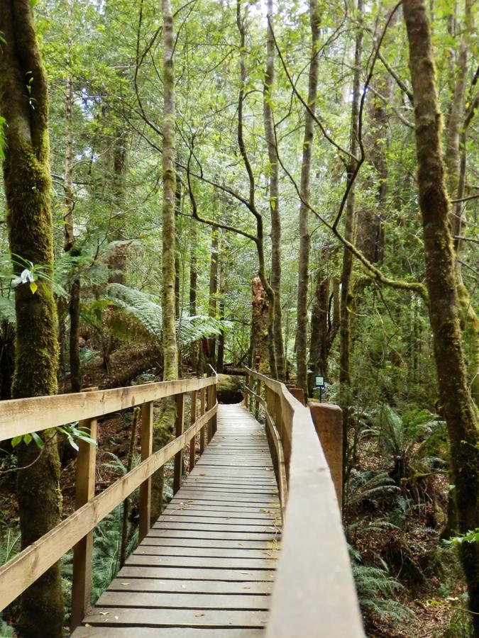 Tahune Airwalk Cabin And Lodge Geeveston ภายนอก รูปภาพ