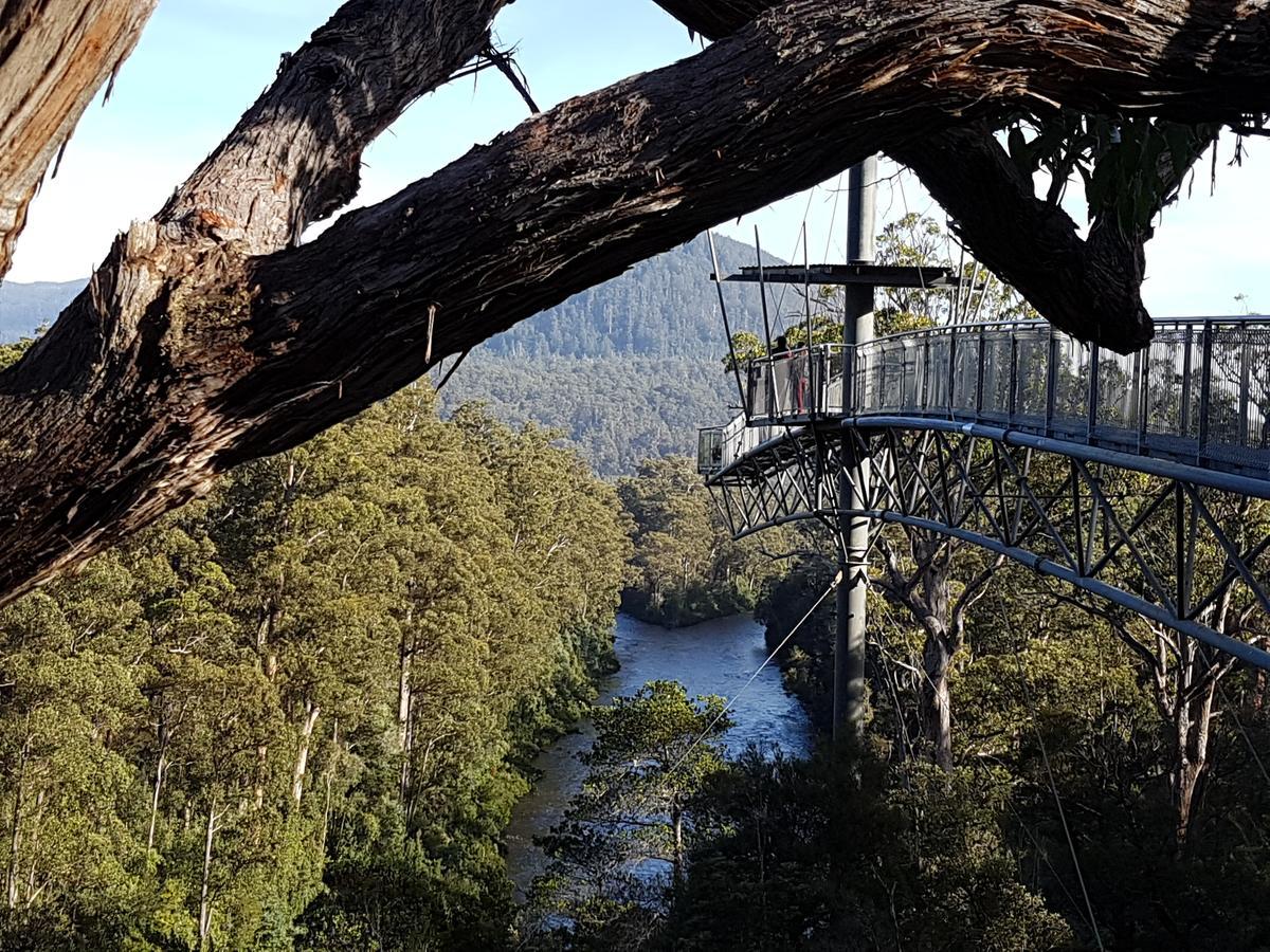 Tahune Airwalk Cabin And Lodge Geeveston ภายนอก รูปภาพ